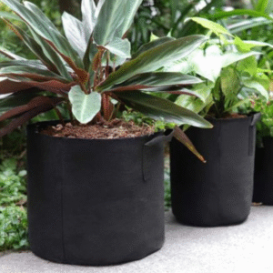 Fabric Grow Bags