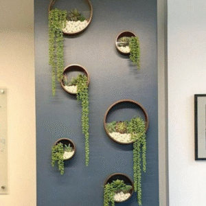 Round Wooden Wall Shelf