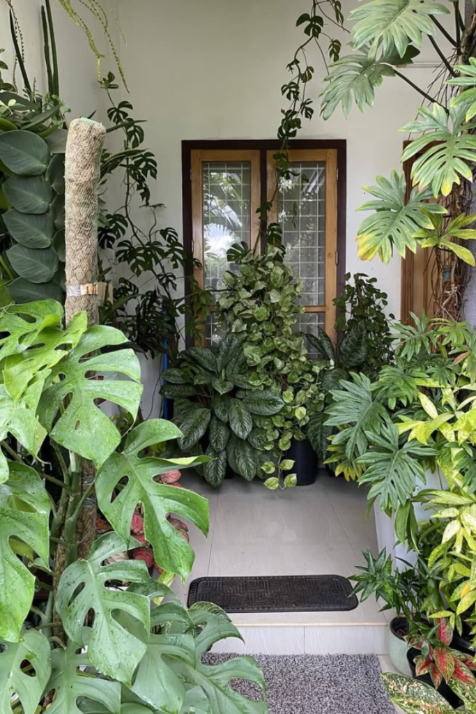 Style entryways with plant arrangements