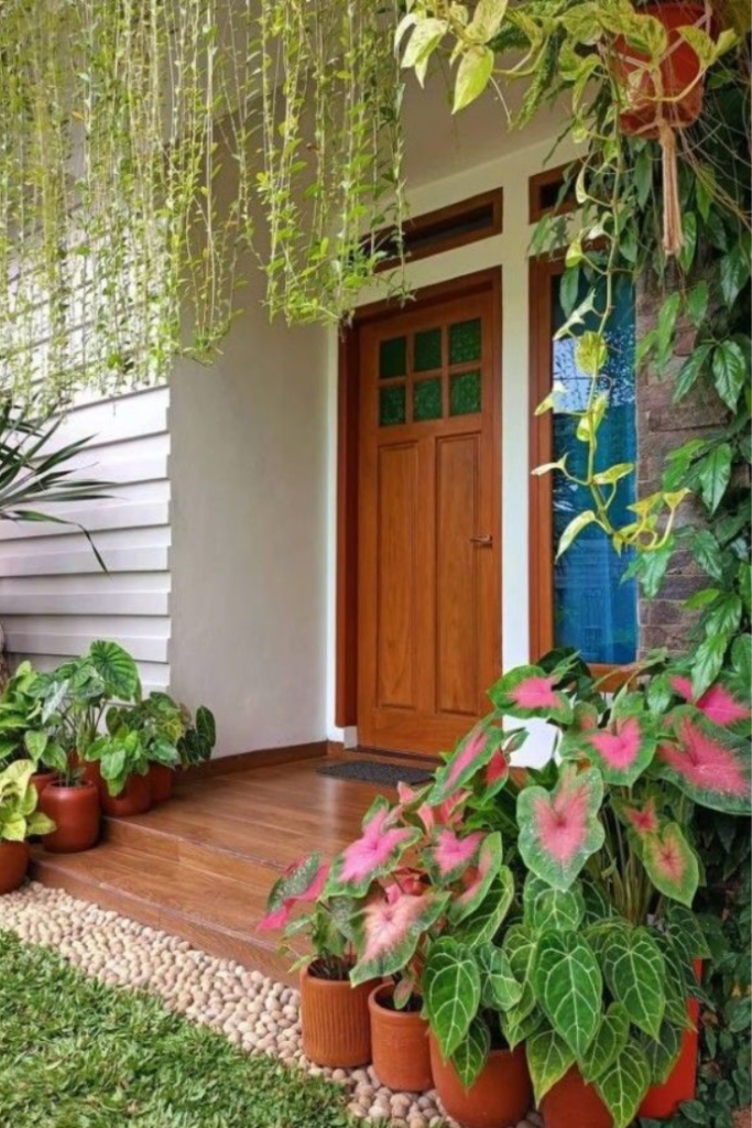 Decorate doorsides with potted greens