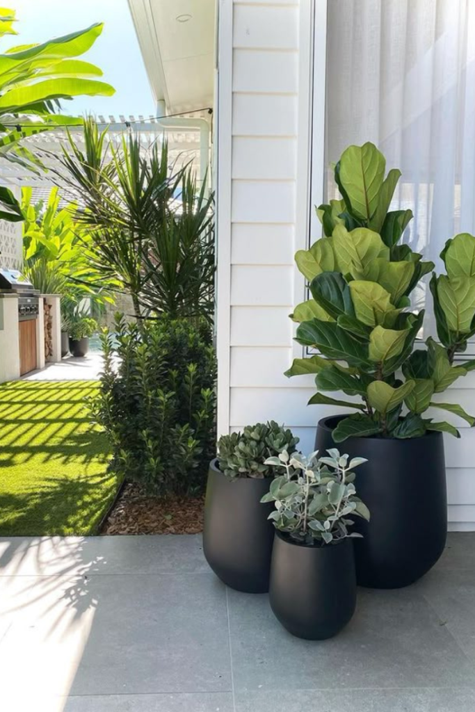Use large planters to refresh your entrance