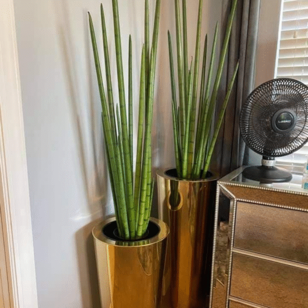 Steel Tube Planters - Image 3