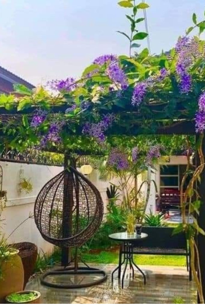 Enjoy nature with cozy outdoor seating
