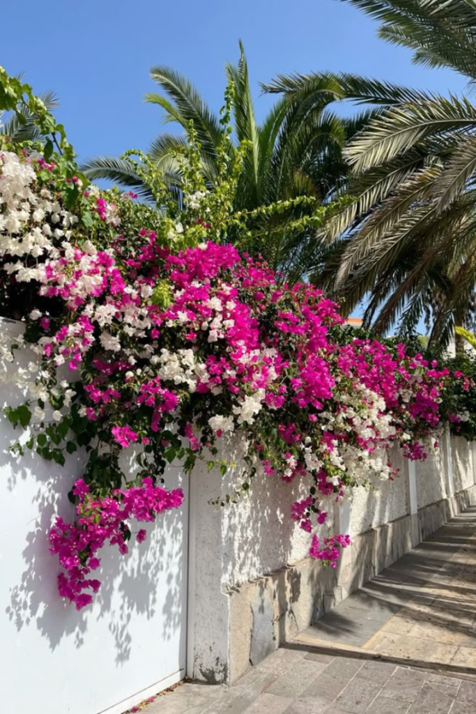 Cover walls with climbing green vines