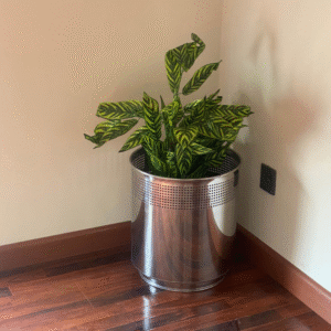 Silver Steel Planter