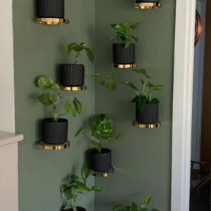Gold Shelf And Planter Set
