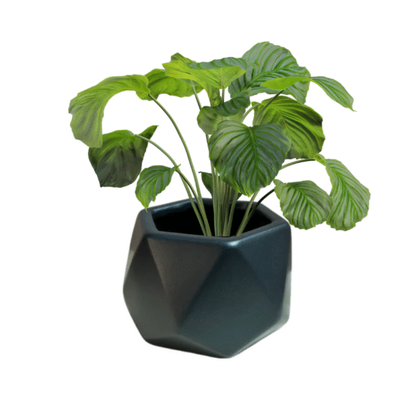 Geometric Ceramic Pot - Image 6