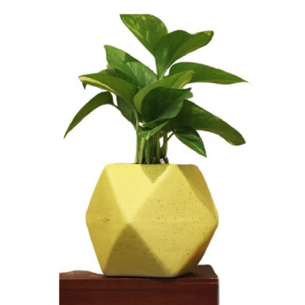 Geometric Ceramic Pot - Image 5