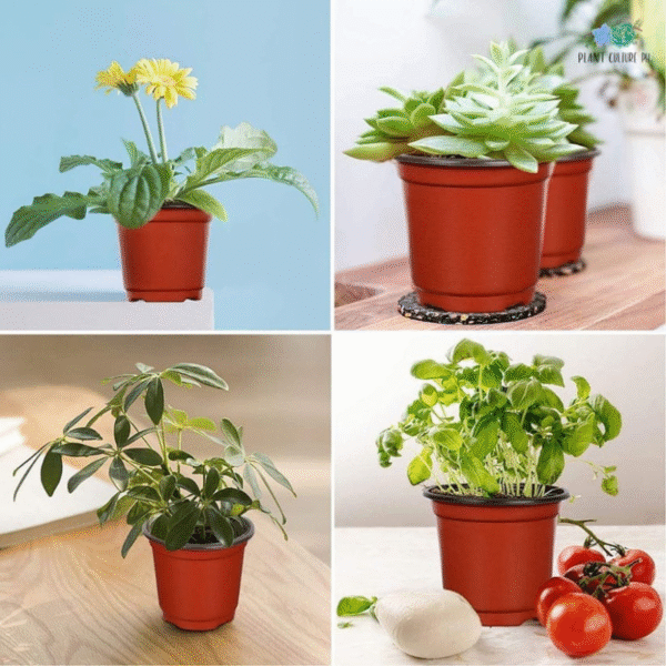 Plastic Plant Pots-Set of 10 - Image 2