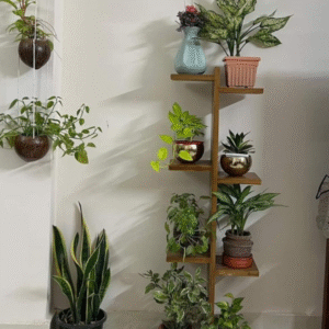Wooden Shelf Stand